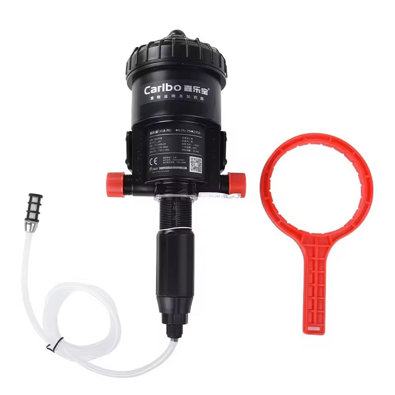 Automatic dosing device for pigs