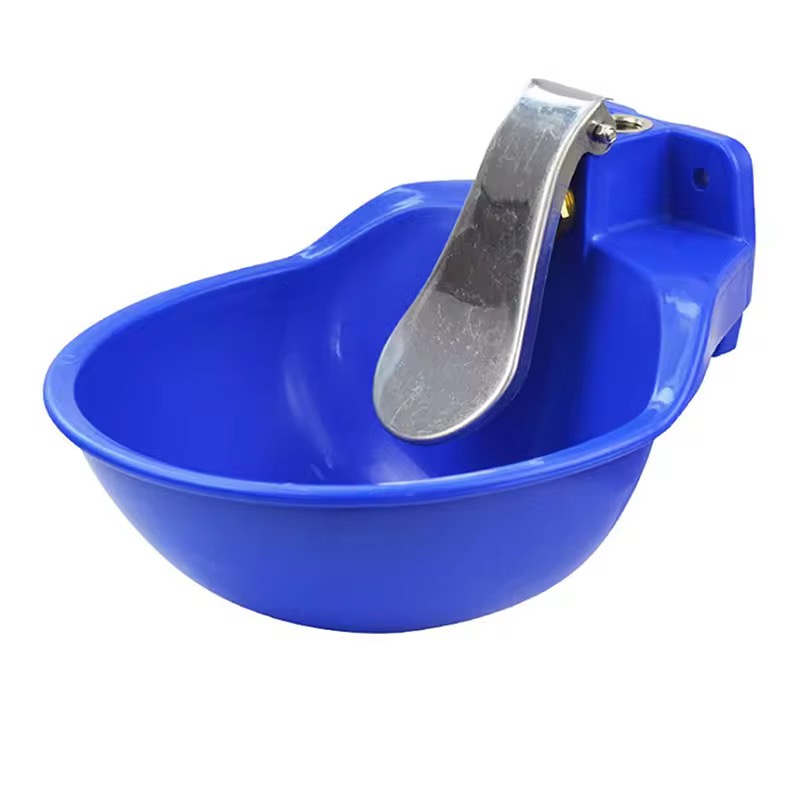 Cow drinking bowl