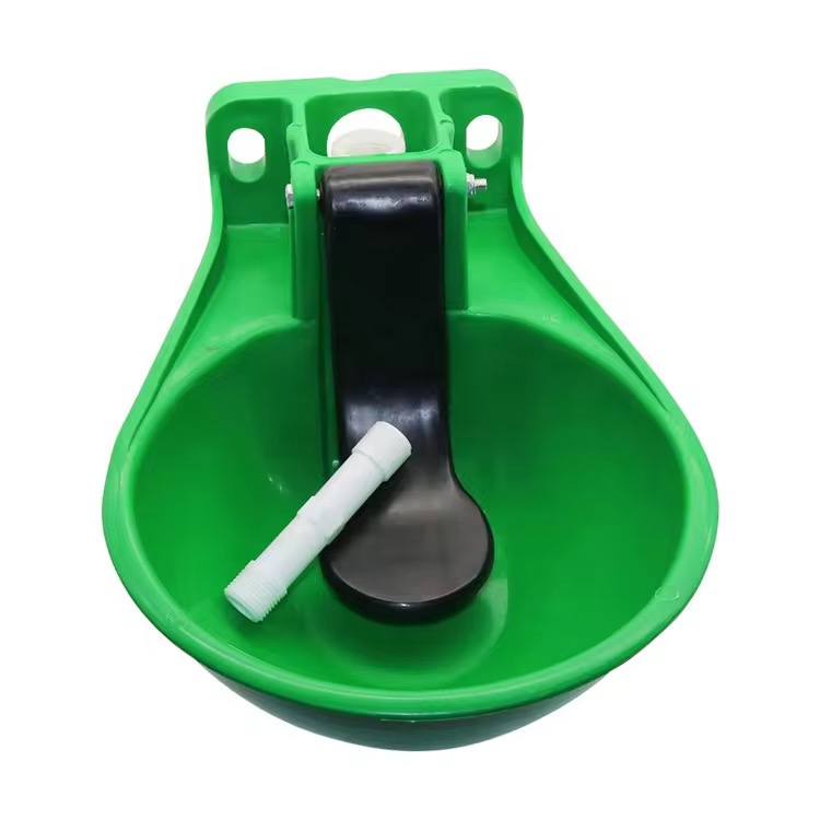 Cow drinking bowl