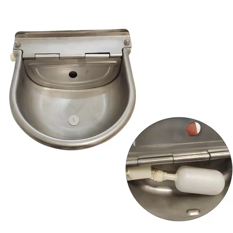 Cow drinking bowl