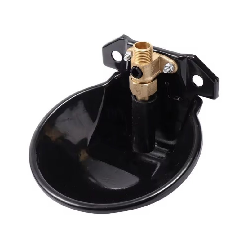 Sheep drinking bowl
