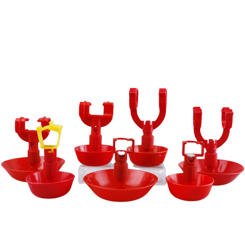 Chicken, Duck, Goose Drinking Bowl