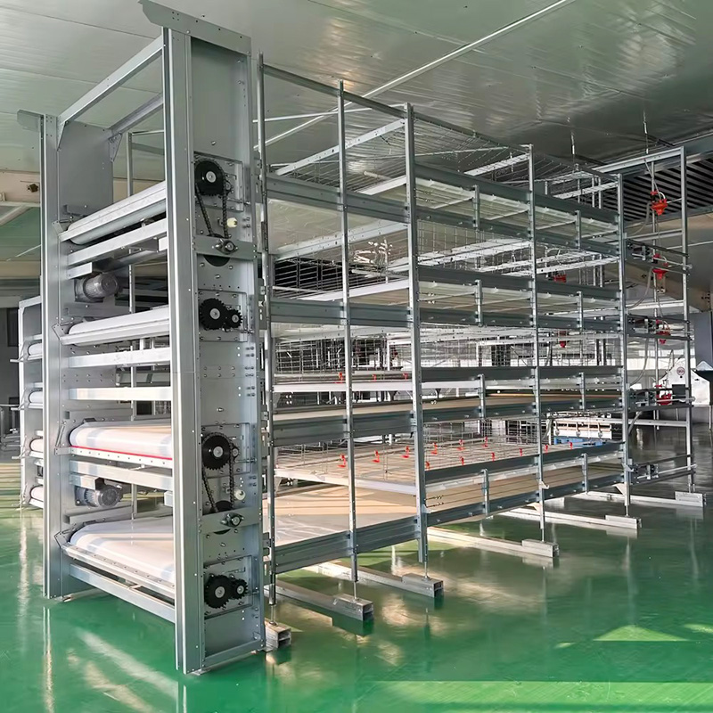 Chicken cage equipment