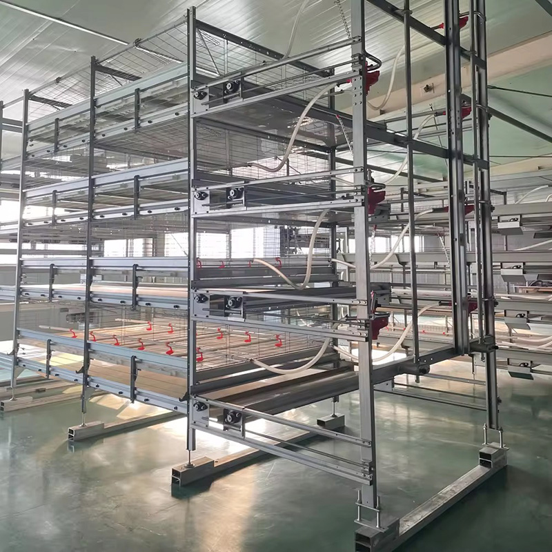 Chicken cage equipment