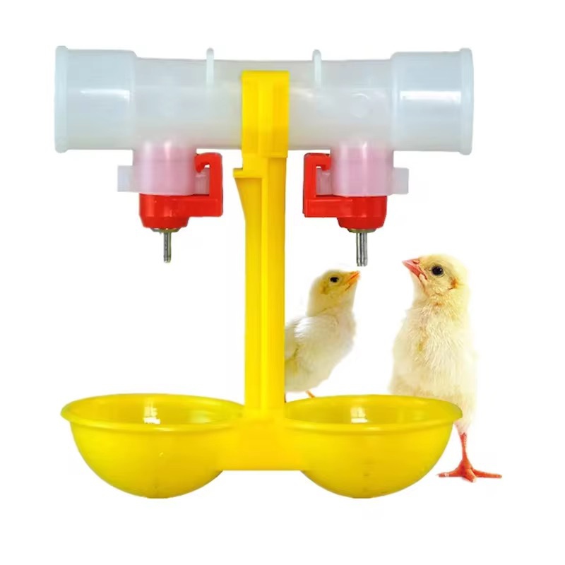 Chicken integrated hanging cup automatic water dispenser