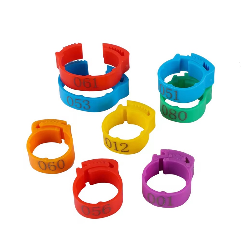Buckle type chicken foot ring