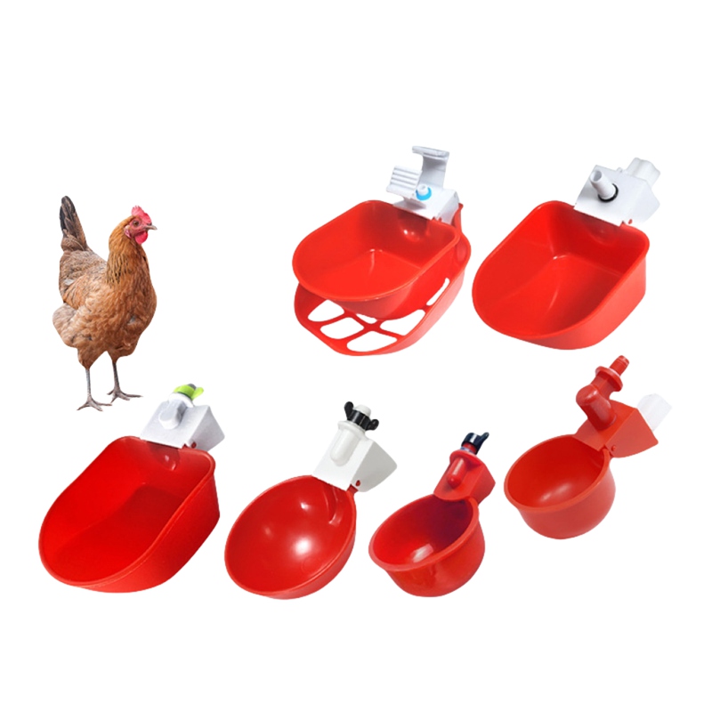 Chicken Duck Goose Water Bowl