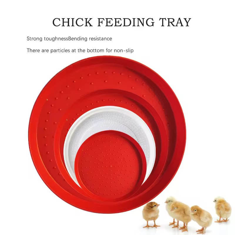 Circular food tray