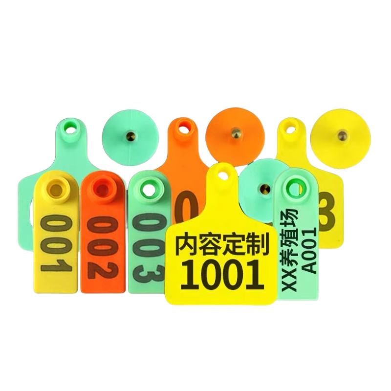 Pig, cow, and sheep with letterless epidemic prevention ear tags
