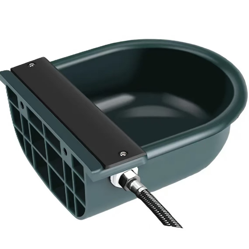 Cow drinking water bowl